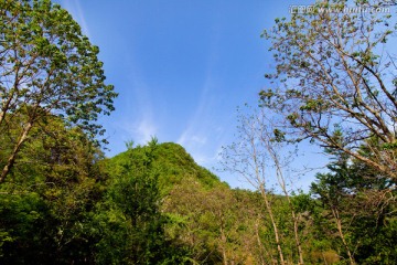 大山 山峰