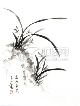 蘭花 寫意 國畫