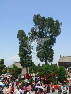 后土祠