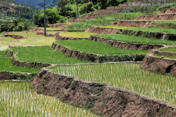 梯田