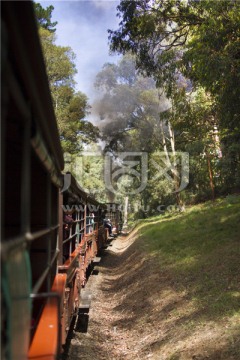穿越墨尔本森林公园的蒸汽小火车