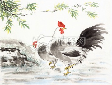 公雞 母雞 國畫