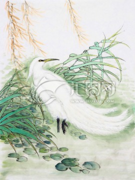 白鷺 垂柳 蘆葦 中國畫