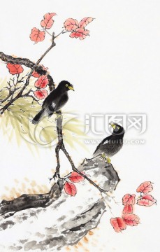 八哥 楓葉 國畫