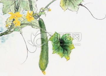 絲瓜 絲瓜花 收獲的季節(jié) 國畫