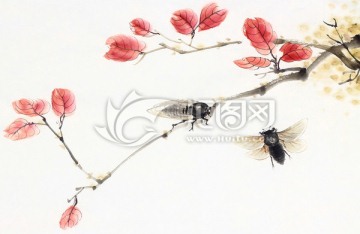 蟬 紅葉 國(guó)畫(huà) 知了