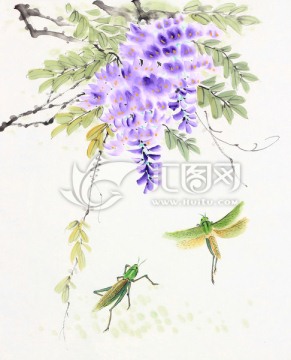 紫藤花 蝗蟲 國畫