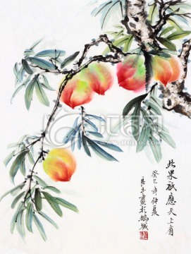 油桃 国画 桃子 丰收季节
