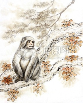 獼猴 猴子 樹干 國畫 工筆