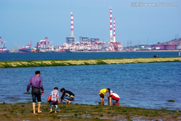 赶海