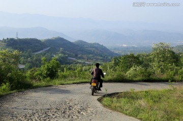 田野