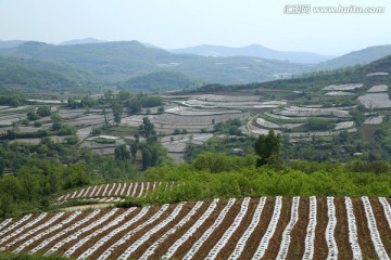 田园美景