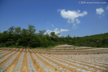 田园美景