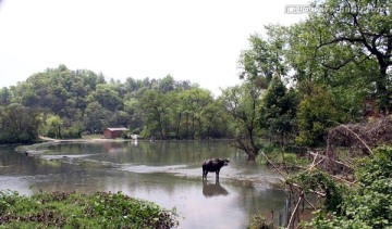 田野风光