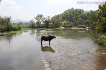 田野风光