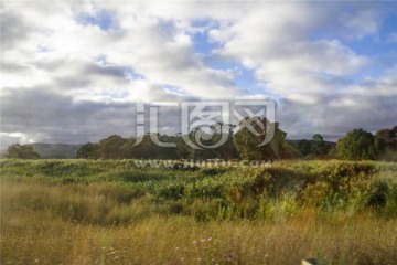 澳洲袋鼠岛山坡草坪风光