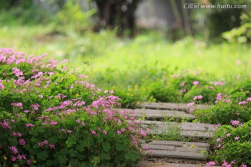 芳草园