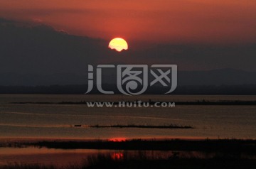 沼泽湿地