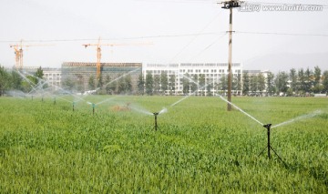 小麦农田灌溉