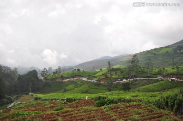 努瓦勒艾利耶山间景色