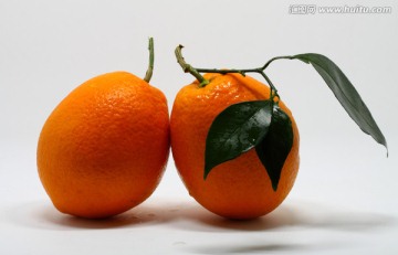 橙子 纽柑