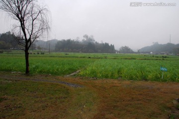 田园田野