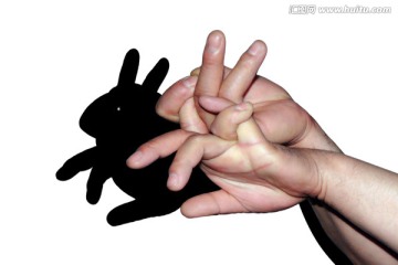 手影 兔子