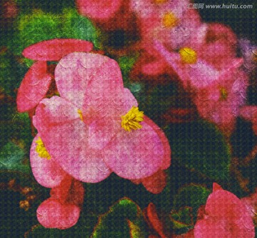 花兒油畫
