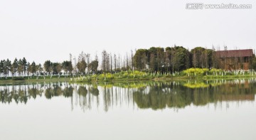 湿地风光 写意湖景