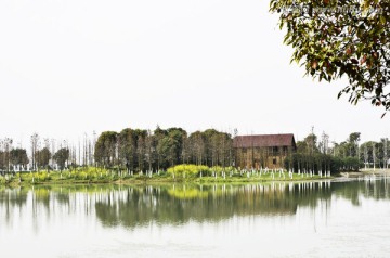 湿地风光 写意湖景