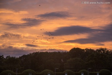 朝霞映满天