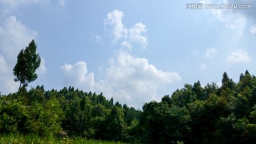 夏日的天空