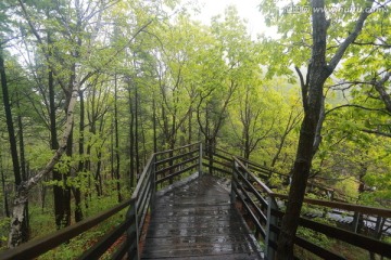 雨中 云蒙山 小黄山