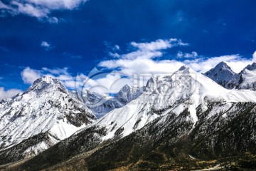 青藏雪山