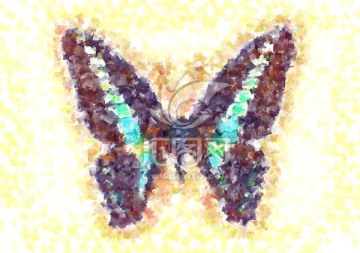 蝴蝶 抽象 印花