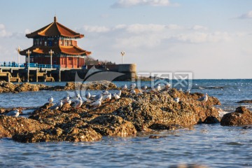 青岛海滨都市风光