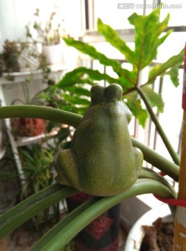 小青蛙 青蛙雕塑