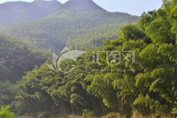 大山 青山