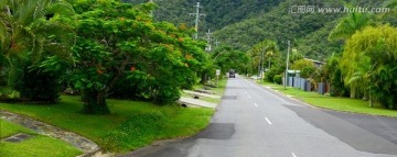 都市道路