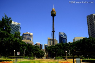 悉尼电视塔景观