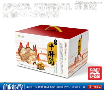 山珍土特產(chǎn)牛肝菌蘑菇手提禮箱