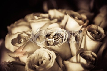 白玫瑰手捧花