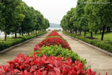 景观大道