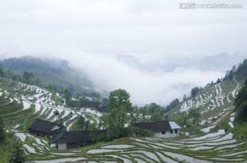 紫鹊界梯田