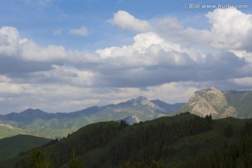 高山 草原