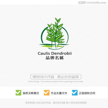 鐵皮楓斗 中草藥 LOGO