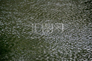 鳞波 水波