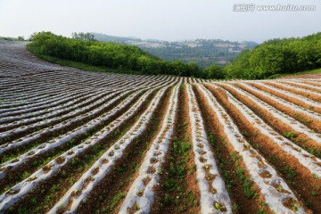 田园风光