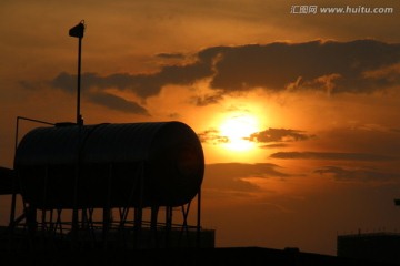 夕阳红