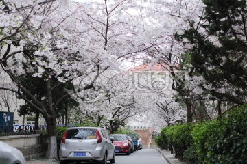 青岛三明路